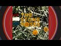 The Stone Roses- I Am The Resurrection - YouTube