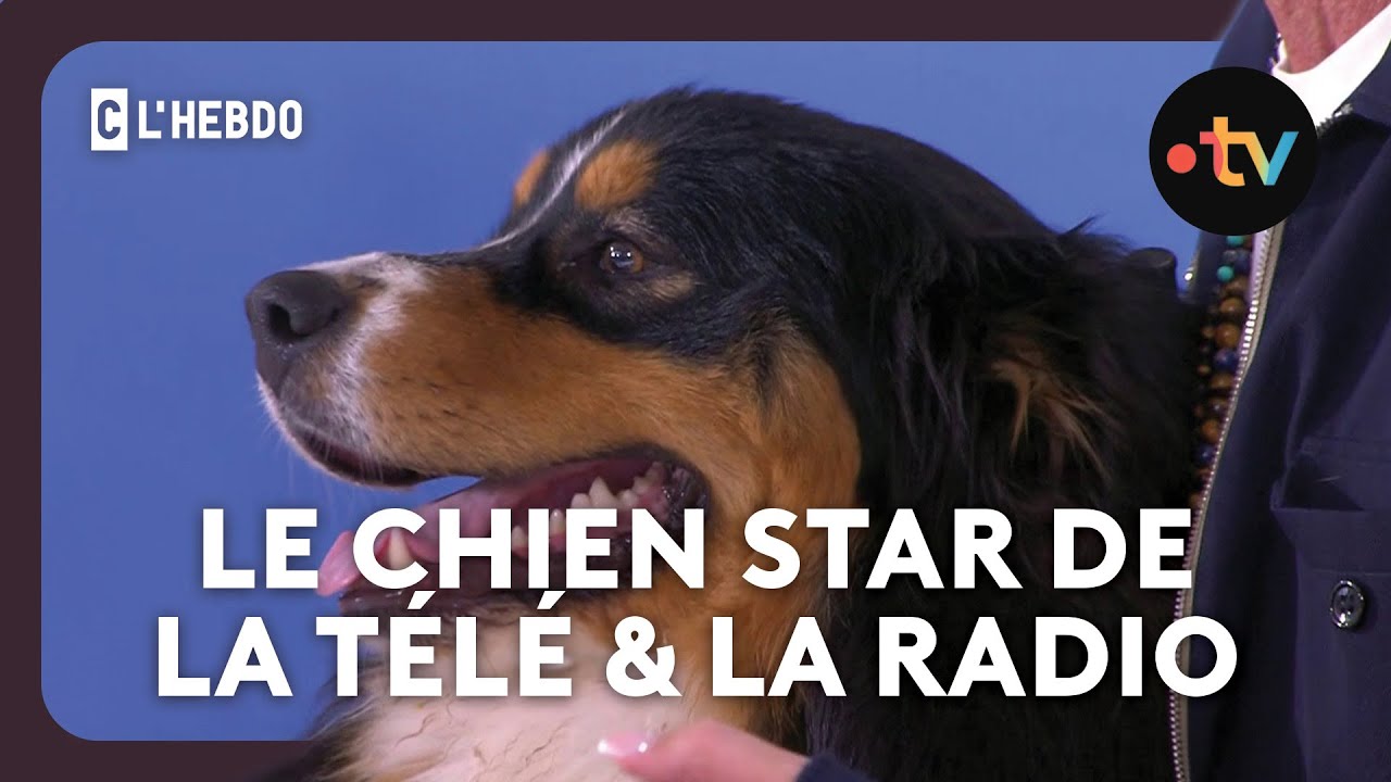 Philippe Caverivière : sa vie avec les animaux