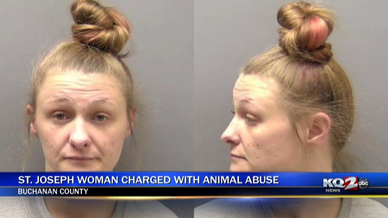 St. Joseph woman charged with animal abuse - YouTube