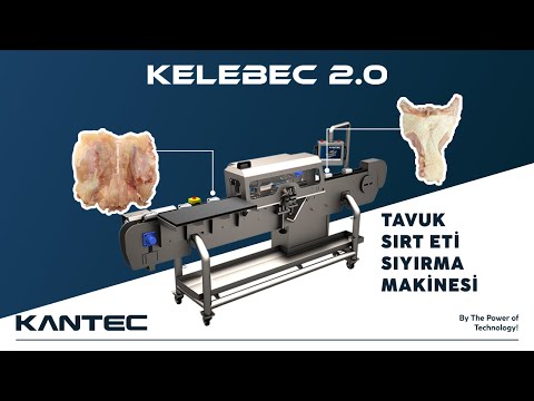 Tavuk Sırt Eti Sıyırma Makinesi | Chicken Back Meat Stripping Machine | Kelebec 2.0