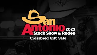 San Antonio Livestock Show 2023 - Crossbred Gilt Sale
