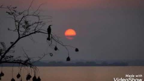 سورة التغابن بصوت اسلام صبحي