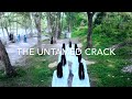 The Untamed- more Crack! (part 2)