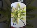 keive #youtubeshorts #food #usafood #india #foodie #yummy #shorts