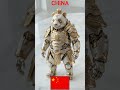 CHINA AI PANDA AND DRAGON #innovation #tech #technology #trend #trending #facts #trending