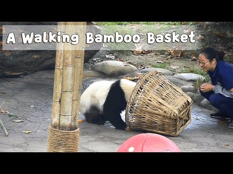 A Walking Bamboo Basket | iPanda