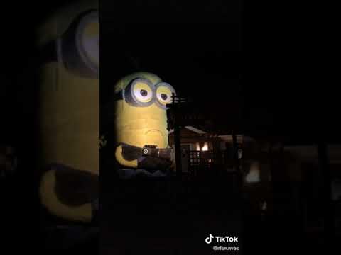 Minion World