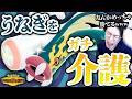 【メガシビルドンが想像以上だった件】特性『うなぎのぼり』が壊れ性能すぎるからガチ介護して大エースにしてみた結果wwwwww【ポケモンチャンピオンズ ダブルバトル M-B】