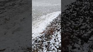 Am Altonaer Holzhafen