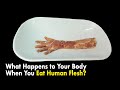 What Happens to Your Body When You Eat Human Flesh?