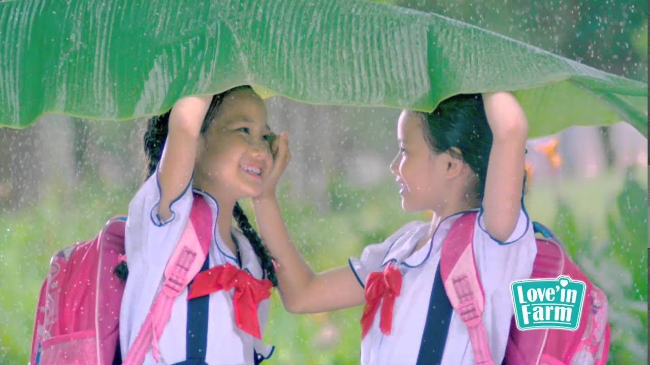 Yogurt Love' In Farm