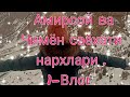 Амирсой,Чимён 2021 йил нархлари. 1-Влог.