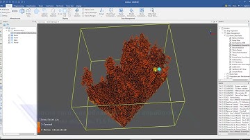 Обработка в LiDar 360. Сканирование леса и таксация деревьев.