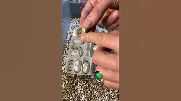 🐍15-20 days until they hatch!🧪#molinarosnakelab #hognose #snakebreeder #snakebreeding #shorts #pet