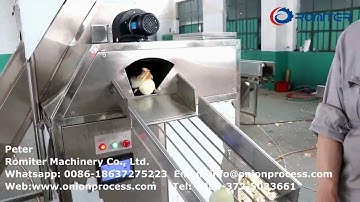Full Automatic Onion Peeling Machine and Root Cutting Machine for Canada Customer