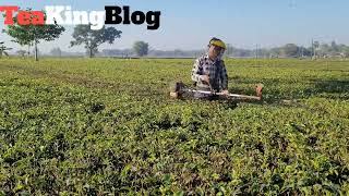 Tea garden brush cutter machine || brush cutter machine 2 stock  Profile