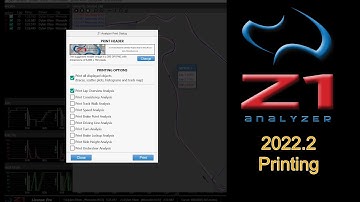 Z1 Analyzer - Printing