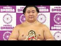 🏆🔥【衝撃】舞の海氏も大絶賛！「この体で横綱・大関を撃破…」奇跡の三役昇進に相撲界騒然！🤯💥👏🇯🇵