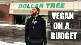 What's VEGAN at Dollar Tree? On a BUDGET