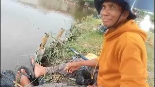 Opened 3 columns at 50 RB on 2/11/2025 Wak Beron Kpum