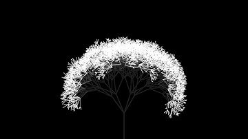 Random 4K Fractal Tree - 06