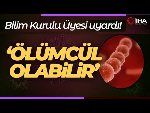 Bilim Kurulu Üyesi Prof. Dr. Şener'den Strep A Bakterisi Uyarısı