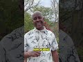 Why Taking Action Changes Everything!