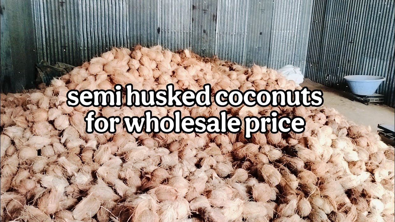 Semi husked coconuts for wholesale price. #coconut #wholesale #export #semihuskedcoconut