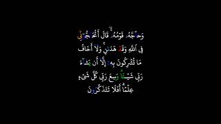 mishari rashid  sura 006 al anam 80