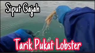 Tarik Pukat Lobster | Abang Ben sembang kos buat pukat baru.