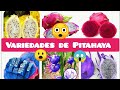 VARIEDADES DE PITAHAYA | cuál es mejor | planting varieties and more