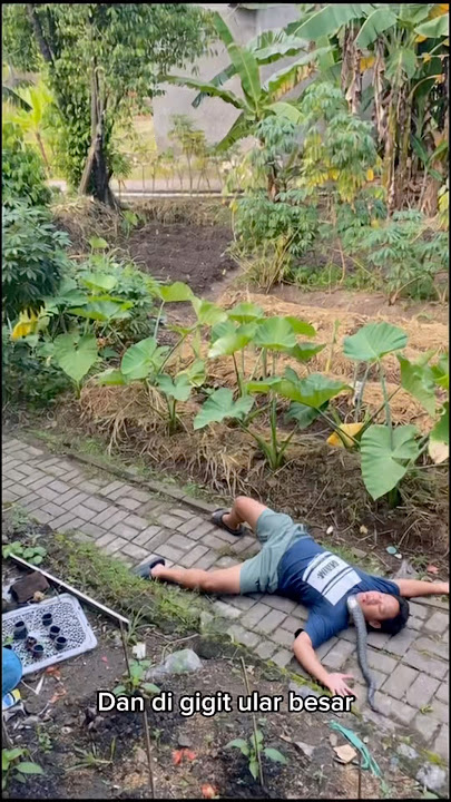 Download lagu Ka epan was scared until he fell #shorts #minivlog #epanchannel