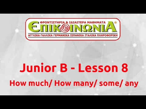 How much - How many - Some - Any - Junior B