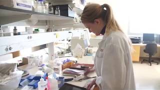 Technology Enables Healthcare to Breakthrough and Become Strategic