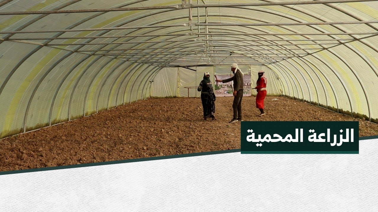 البيوت البلاستيكية المغلقة أو المحمية، ملجأ أغلب المزارعين في الرقة
