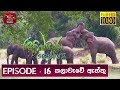 Sobadhara - Sri Lanka Wildlife Documentary | 2019-07-05 | Sri Lankan Elephant