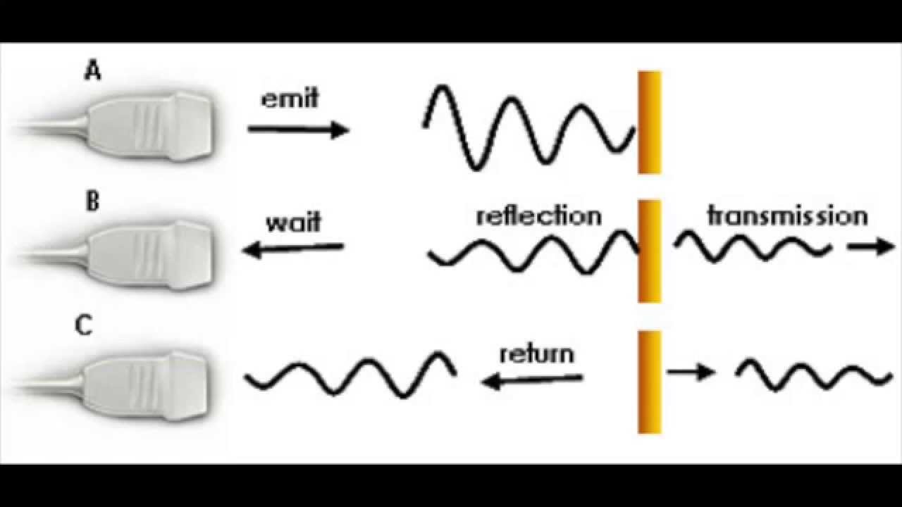 ultrasound b mode image reconstruction youtube how ultrasound imaging works