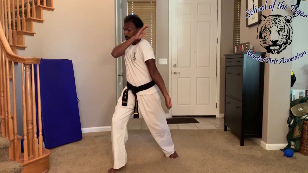 School of the Tiger Martial Arts Downward Block and Inside Block