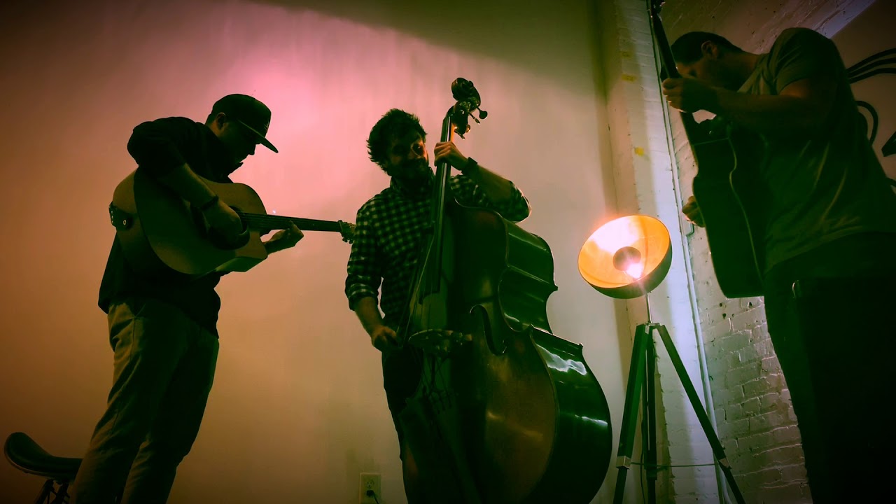 Dreadnot - Reptilia (Acoustic Cover)