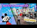 ¿RESTOS HUMANOS EN DISNEY?