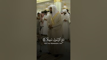 (ويوم يعض الظالم على يديه) #تلاوة_خاشعة #ناصر_القطامي