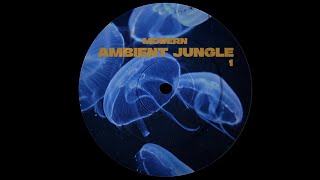Modern Ambient Jungle Mix [1] (Intelligent DnB)