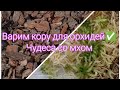 КАК для ОРХИДЕЙ СВАРИТЬ КОРУ 🪵 Чудо-мох🤫 How to cook bark for orchids