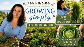A Day in My Garden 🌱 Summer Harvests, Braiding Asparagus Ferns & Cabbage Harvest Tips