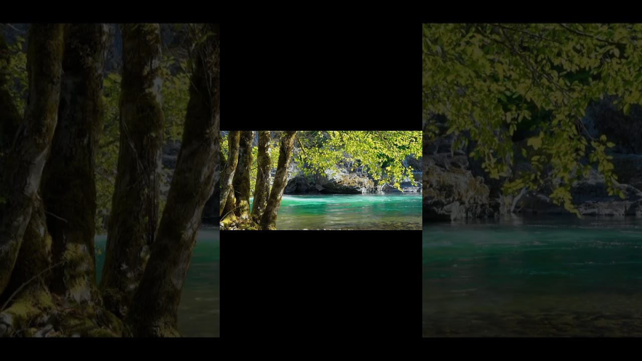 Включи, закрой глаза и окажись в центре леса