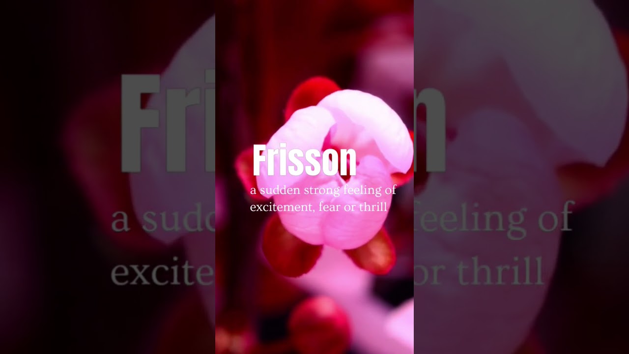 Word of the day Frisson  | Obscure English Words 