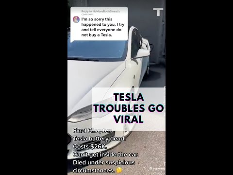 Tesla Owner Unleashes