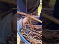 Wunderschöner Naturkranz in 10 min - schneller als jede Osterdeko#KranzBinden #DIYNatur #Gartenliebe