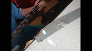 Jenny (Bass Cover)