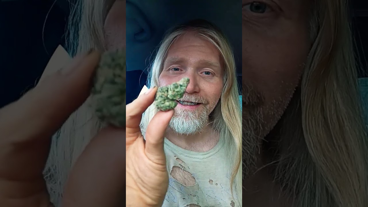 melted strawberries cannabis strain